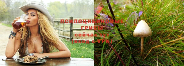 гашиш Абаза