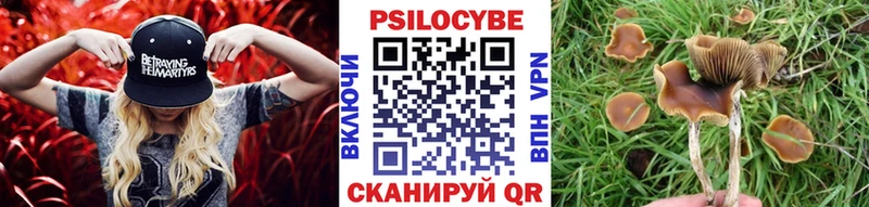 мега tor  Почеп  Галлюциногенные грибы прущие грибы 